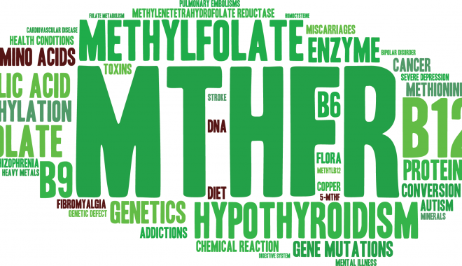 MTHFR, folate, genetics