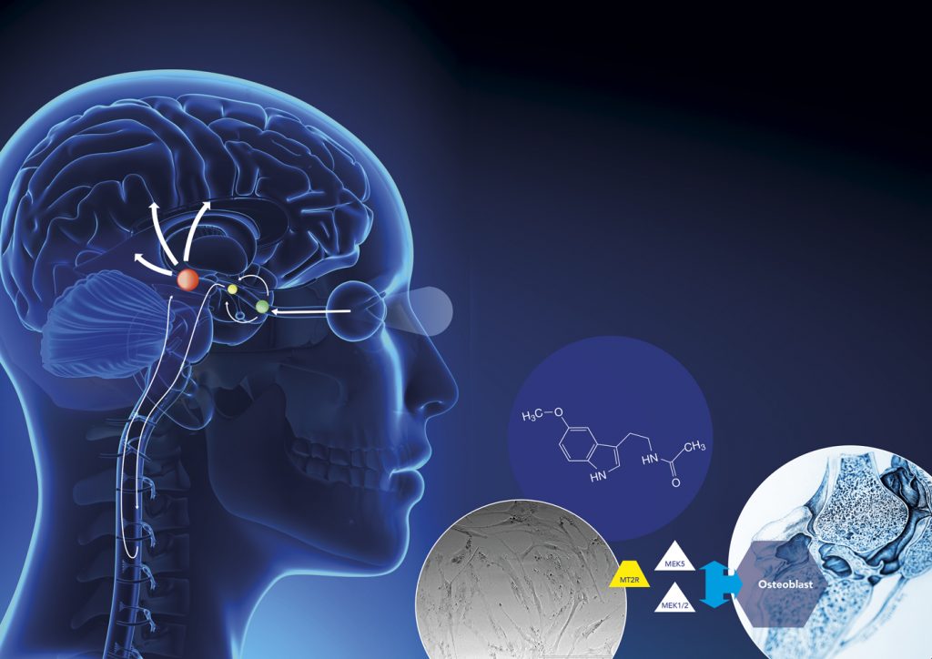 melatonin for anxiety melatonin for anxiety