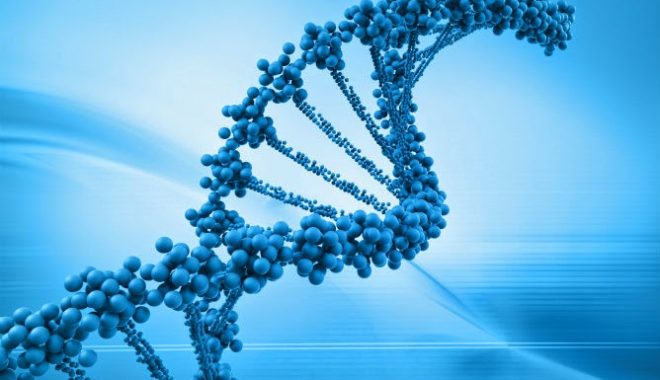 dna test genealogy